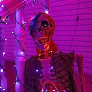 Hourleey 5 FT Halloween Skeletons Decoration, Life Size Full Body Bones Skeletons with Posable Joints, Halloween Pose Skeleton Decorations for Indoor Outdoor Party Haunted House Decor