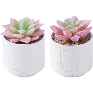 zenmag Succulents Plants Artificial, Mini Fake Succulents in White Ceramic Pots for Desk Livingroom ...