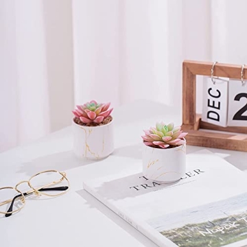 zenmag Artificial Mini Succulent Plants in Ceramic Pots