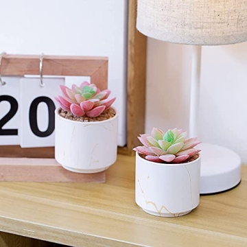 zenmag Artificial Mini Succulent Plants in Ceramic Pots