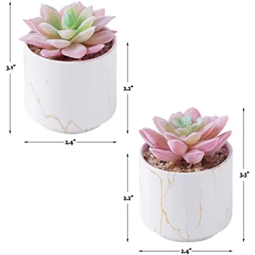 zenmag Artificial Mini Succulent Plants in Ceramic Pots