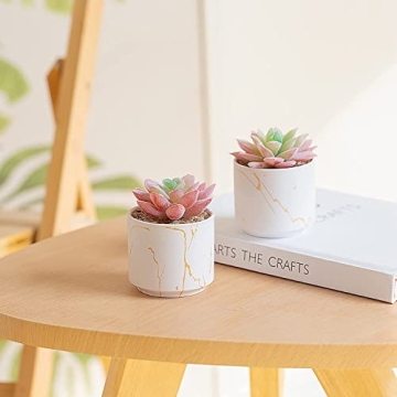 zenmag Artificial Mini Succulent Plants in Ceramic Pots