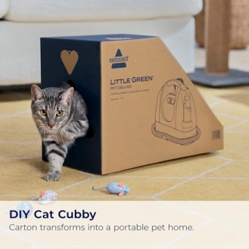 Bissell Little Green Pet Deluxe Portable Carpet Cleaner