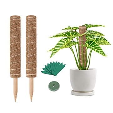 GROWNEER 29 Inches Coir Moss Pole for Indoor Plants