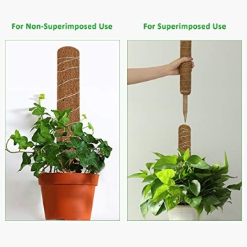 GROWNEER 29 Inches Coir Moss Pole for Indoor Plants
