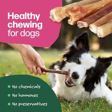 Willow & I Bully Sticks for Dogs -6 Inch Natural Bully Sticks for Medium Dogs, Small & Large- Premium 100% Grass Fed, Single Ingredient, Long Lasting, High Protein-Grain & Rawhide Free (6", 6 Pack)