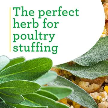 Bonnie Plants Garden Sage Herb - Easy Grow, Non-GMO Packs