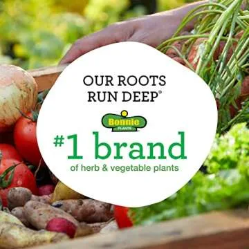 Bonnie Plants Garden Sage Herb - Easy Grow, Non-GMO Packs