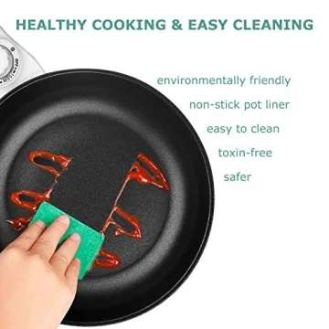 Dezin Portable Electric Hot Pot for Easy Cooking Anywhere