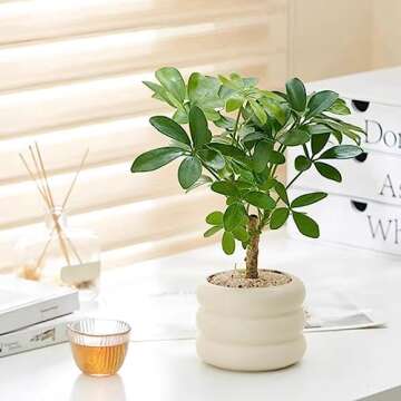 SANDYBAYTAS 4.5 Inch Ceramic Plant Pot – Unique Design!