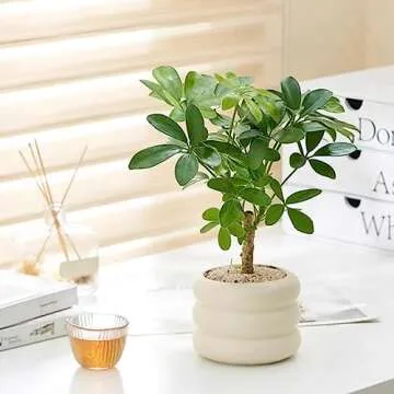 SANDYBAYTAS 4.5 Inch Ceramic Plant Pot – Unique Design!