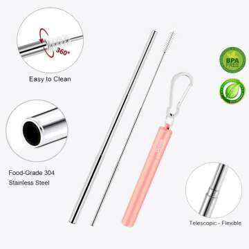 Collapsible Metal Straws Set - Eco Friendly 2 Pack
