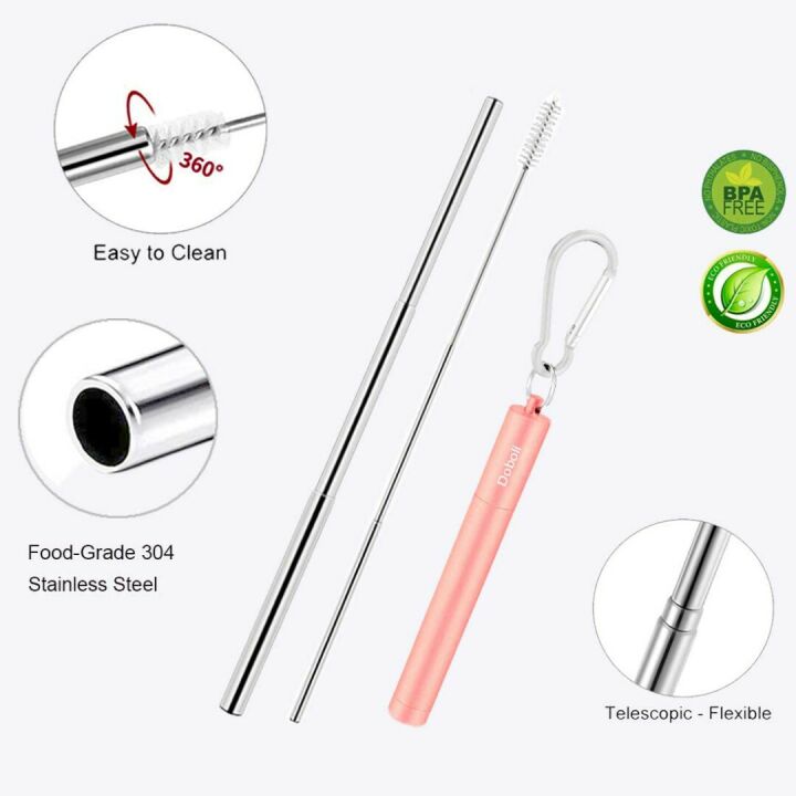 Collapsible Metal Straws Set - Eco Friendly 2 Pack