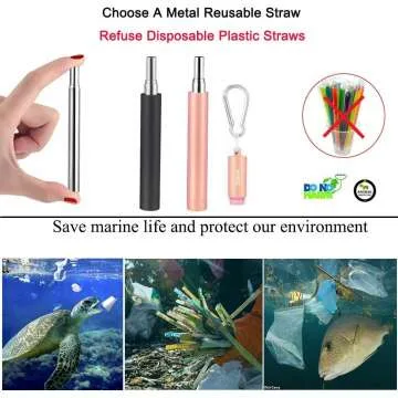Collapsible Metal Straws Set - Eco Friendly 2 Pack