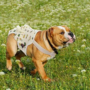 QBLEEV Washable Dog Diapers for Comfortable Pet Care