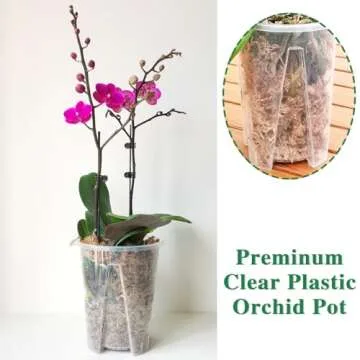 pavtner Orchid Pot 6.3Inch 4 Pack, Clear Platics Orchid pots with Holes, Planter Pot for Repotting Orchids and Other Flowers