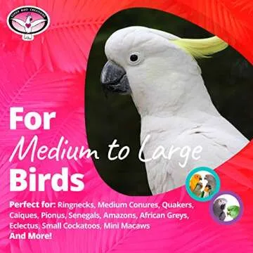 Super Bird Creations SB746 Seagrass Foraging Wall Bird Toy, Large Bird Size, 4" x 14" x 14"