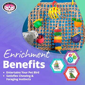 Super Bird Creations SB746 Seagrass Foraging Wall Bird Toy, Large Bird Size, 4" x 14" x 14"