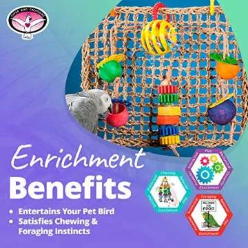 Super Bird Creations SB746 Seagrass Foraging Wall Bird Toy, Large Bird Size, 4" x 14" x 14"