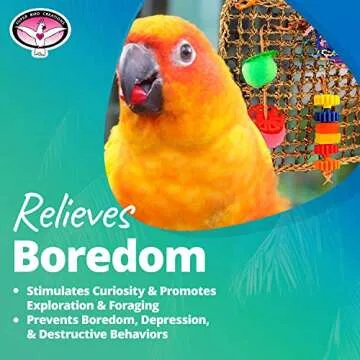 Super Bird Creations SB746 Seagrass Foraging Wall Bird Toy, Large Bird Size, 4" x 14" x 14"