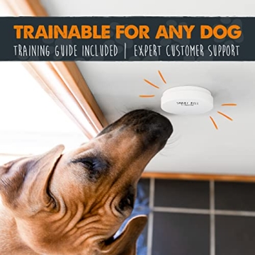 Mighty Paw Smart Bell 2.0 Wireless Dog Doorbell for Training