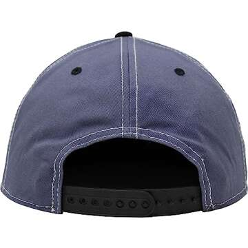 Schoolhouse Rock Election Snapback Hat for All Ages