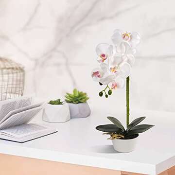 Orchid white artificial orchid Flowers fake orchid phalaenopsis orchid plant in pot for home decor F...