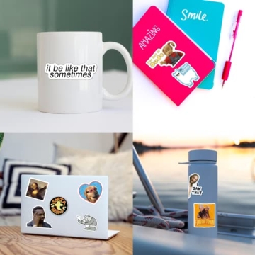 Funny Meme Vinyl Stickers Pack - 306pcs for DIY