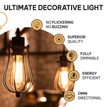 Stylish Vintage Edison Light Bulbs 60W E26 Base Warm Light