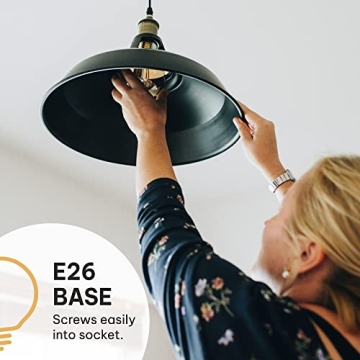 Stylish Vintage Edison Light Bulbs 60W E26 Base Warm Light