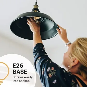 Stylish Vintage Edison Light Bulbs 60W E26 Base Warm Light