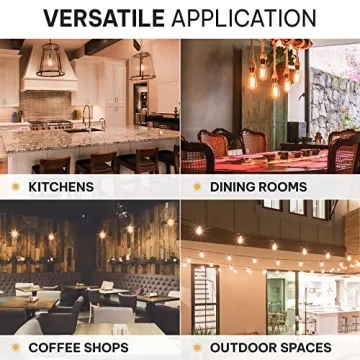 Stylish Vintage Edison Light Bulbs 60W E26 Base Warm Light