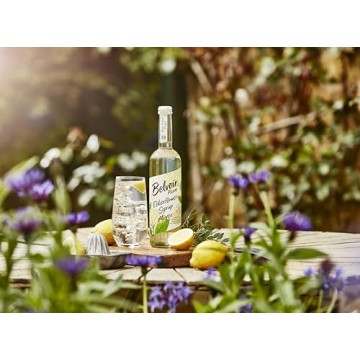 Belvoir Elderflower Syrup Natural Mixer 500ml Pack of 2