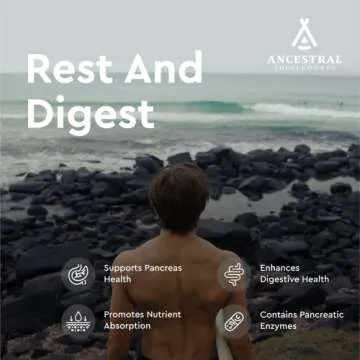 Ancestral Beef Pancreas Supplement for Digestive Health