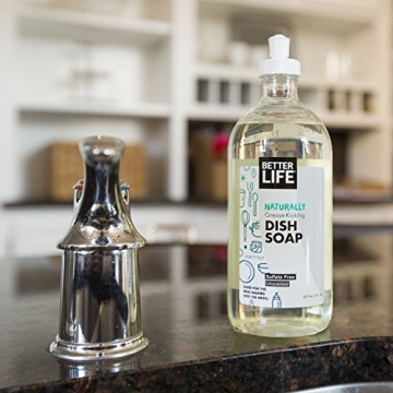 Effective and Natural Dish Soap from Better Life - 22 Fl Oz