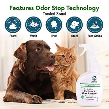Aesroson Pet Stain and Odor Remover Spray - 3-in-1 Formula Natural Pet Odor Spray- All-Purpose Carpet Deodorizer for Pet Urine, Floor Cleaner, Fabric Stain Remover - Enzyme Cleaner 32 fl oz (1 Pack)