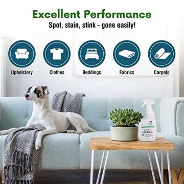 Aesroson Pet Stain and Odor Remover Spray - 3-in-1 Formula Natural Pet Odor Spray- All-Purpose Carpet Deodorizer for Pet Urine, Floor Cleaner, Fabric Stain Remover - Enzyme Cleaner 32 fl oz (1 Pack)