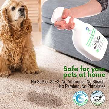 Aesroson Pet Stain and Odor Remover Spray - 3-in-1 Formula Natural Pet Odor Spray- All-Purpose Carpet Deodorizer for Pet Urine, Floor Cleaner, Fabric Stain Remover - Enzyme Cleaner 32 fl oz (1 Pack)