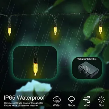 LOENDE 18ft LED Battery Operated Christmas Lights