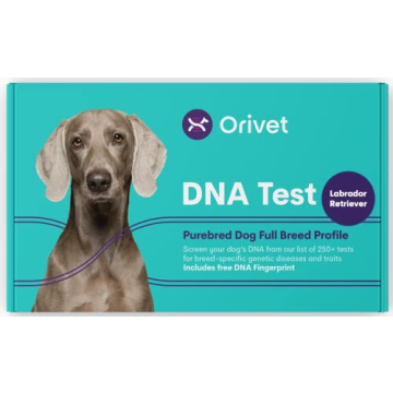 ORIVET Dog DNA Test Kit - Labrador Retriever Full Breed Profile | Puppy Testing Against 250 Medical ...