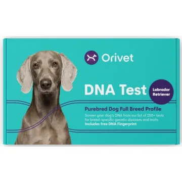ORIVET Dog DNA Test Kit - Labrador Retriever Full Breed Profile | Puppy Testing Against 250 Medical ...