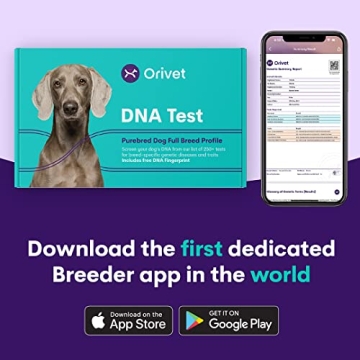 ORIVET Dog DNA Test for Labrador Retrievers - Health Insights