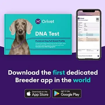 ORIVET Dog DNA Test for Labrador Retrievers - Health Insights