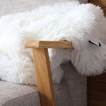 JOYFEEL Shag with Sherpa Reversible Warm Throw Blanket, Ultra Soft, Cozy Plush Luxury Fuzzy Longfur Blanket, Washable Couch Bed Fluffy Furry Throws Photo Props, 50x60-Pure White