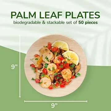 THE CLEAR CONSCIENCE TCC - Palm Leaf Dinner Plates, 50 pcs, Eco-Friendly, Stylistic, Disposable