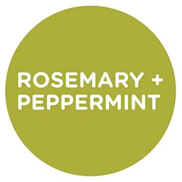 Sapadilla Rosemary + Peppermint Dish Soap, Hand Soap & Countertop Cleanser, Variety Pack 16 Ounces