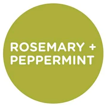 Sapadilla Rosemary + Peppermint Dish Soap, Hand Soap & Countertop Cleanser, Variety Pack 16 Ounces