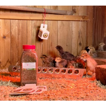 Live Hypoaspis Miles Predatory Mites Natural Pest Control