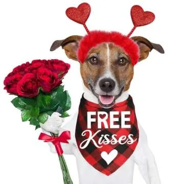 JOTFA Valentine's Day Dog Bandanas Costumes, Valentines Dog Outfits Heart Headband Dog Valentines Bandanas for Small Medium Large Dogs (Red, Free Kisses)