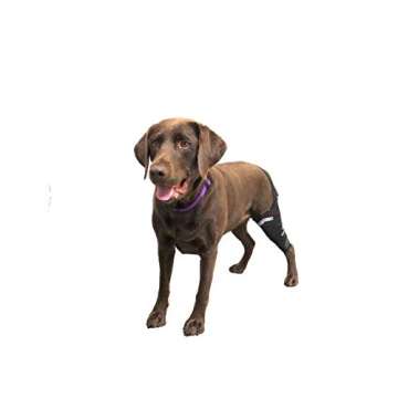 WALKABOUT Camouflage Knee Brace for Dogs - ACL Support